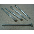 Galvanized Steel Concrete Nail